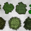 Trees - Image 4