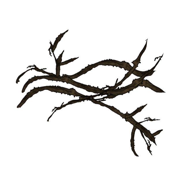 10 Thorn Root Branch Bramble brushes for Clip Studio Paint