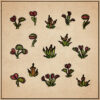 Carnivorous Plants Pack (Dotty)