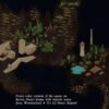 Tiffany Munro Feed the Multiverse Lil Desert Region Biome Terrain Assets for Wonderdraft cactus cracks rocks textures paths themes symbols custom trees custom mountains colorable and lineart