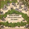 Wonderdraft assets, pirates, pirate towns, pirate ships, volcanoes, waterfalls, harbors, jungle, vintage cartography assets