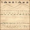 wonderdraft assets, swamps, marsh assets, marshland symbols, trees, vintage cartography assets, fantasy map resources, marshes